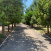 Отель Звездочка, фото 13
