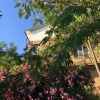 Гостевой Дом Вилла Акация, фото 8