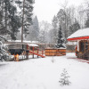 Мини-отель Банный курорт Гуси-Лебеди, фото 11