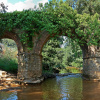 Отель Вилла La Umbría de la Ribera, фото 5