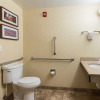 Отель Comfort Inn & Suites, фото 14