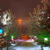 Отель Snow Life Hotel Sarıkamış, фото 2