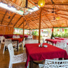 Отель YogiTree beach Resort & Cafe, фото 15