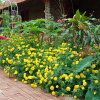 Отель Ninh Binh Eco Garden, фото 27