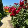 Отель Радуга Серенити, фото 12