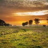 Бутик-Отель Estancia El Cencerro, фото 23