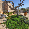 Отель Trullo Malaspina Guest House, фото 7