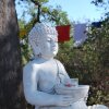 Гостевой Дом Buddha Peaceful Oasis, фото 46
