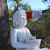 Гостевой Дом Buddha Peaceful Oasis, фото 47
