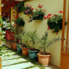 Отель Kruja, фото 20