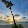 Гостевой дом Oceana Inn Maldives, фото 4