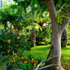 Отель Adjovimar Apartments, фото 5