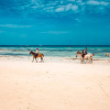 Отель Zenobia Beach Resort, фото 25