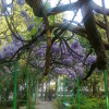 Гостиница Запорожье, фото 7