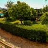 Мини-Отель Papirus Hotel Adrasan, фото 24