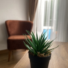 Отель InAlens Airport Hotel, фото 8