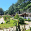 Курортный отель Eco House Pitiunt, фото 1