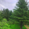 Отель Park Hotel Imeri, фото 2