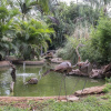 Отель Twangale Park, фото 6