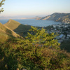 Гостиница База отдыха Фламинго, фото 4