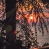 Гостевой дом Сосновый бор, фото 17