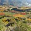 Гостевой Дом Mas de Cocagne en Provence, фото 21