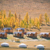 Отель База отдыха Bayan Mongolian Resort в Шолой