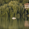 Отель Lopota Lake Resort and Spa, фото 28