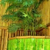 Гостевой дом Bamboo, фото 3