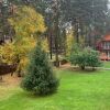 Парк-отель Манжерок, фото 12