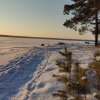 Гостевой Дом на Селигере Лесной Домик, фото 38