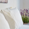 Отель Hippie Chic Hotel, фото 3