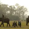 Отель Кемпинг Tigertops Elephant Camp, фото 19