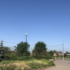 Гостиница Квартира Студия у Яблоневого Сада, фото 32