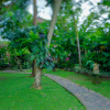 Курортный отель Alas Petulu Cottages, фото 35