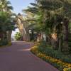 Отель Delphin Palace Hotel - Ultra All Inclusive, фото 36
