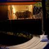 Гостиница Les Ryadom Glamping, фото 19