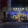 Гостиница Алеся TGB, фото 2