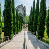 Апарт-отель Королевский парк, фото 19