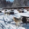 Гостевой Дом Husky Moa, фото 15