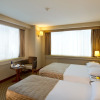 Отель Golden City Hotel Istanbul, фото 4