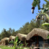 Отель Частный дом Pine Village Bungalows Ölüdeniz, фото 15