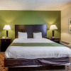 Отель Coratel Plus Suites Wichita West Airport, фото 9