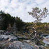 Гостиница Глэмпинг Lago Ladoga, фото 18