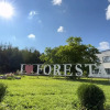 Фореста Фестиваль Парк Отель, фото 2