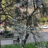 Апартаменты на улице Молокова 5, фото 30