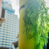 Гостевой Дом Menulis Coolly House Patong, фото 22