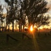 Бутик-Отель Estancia El Cencerro, фото 32