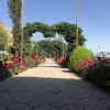 Отель Jannat Resort Osh, фото 2