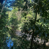 Хостел RioAgujitasEcoFarmandTours, фото 18